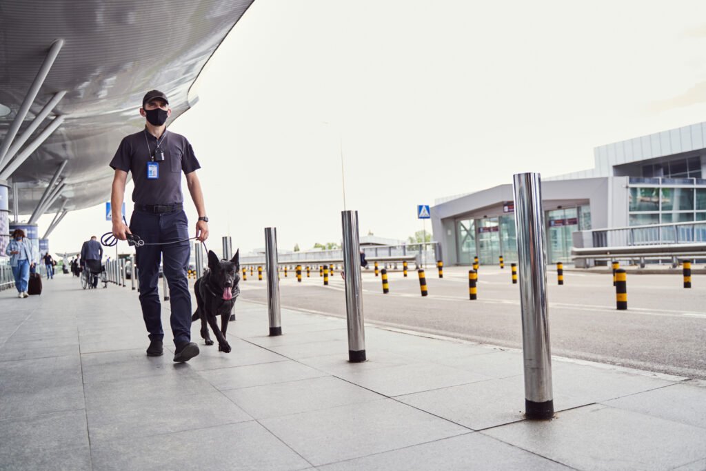 Security officer with detection dog walking outdoors at airport